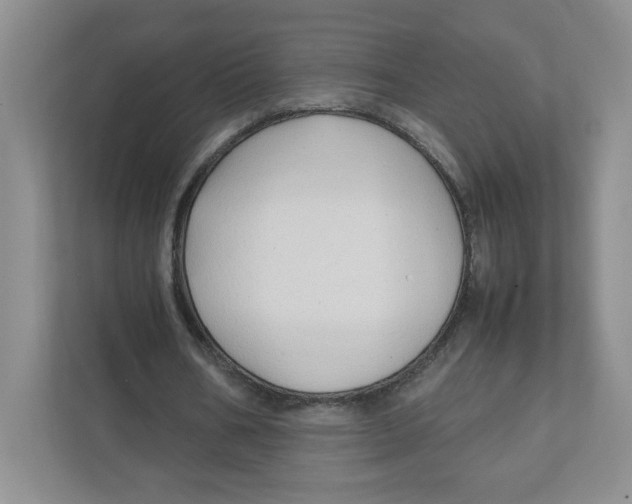 X0000111950578200908171319