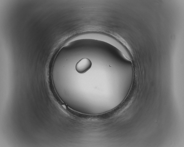 X0000111950581200908171319