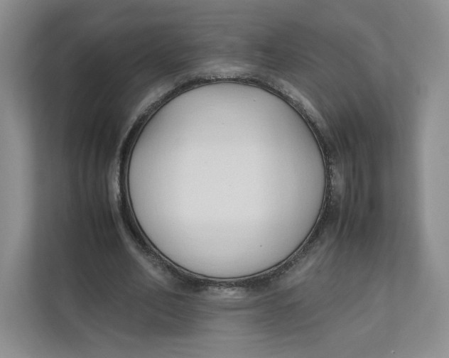 X0000111950582200908171319