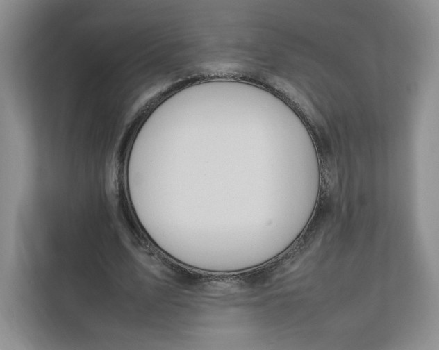 X0000111950583200908171319