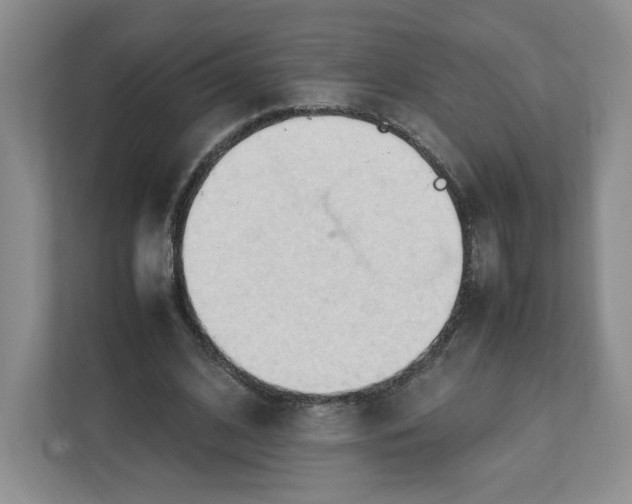 X0000111950584200908171319