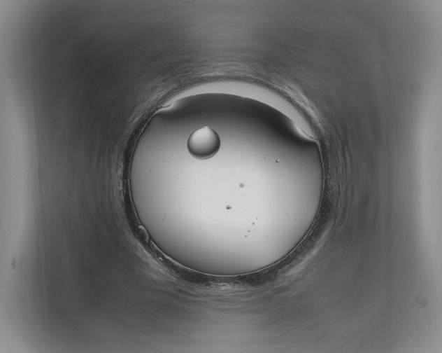 X0000111950585200908171319