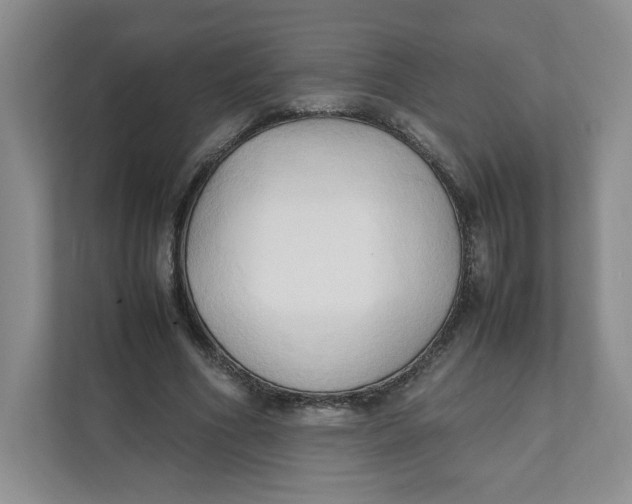 X0000111950586200908171319