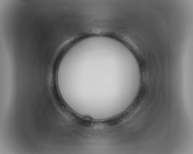 X0000111950587200908171319