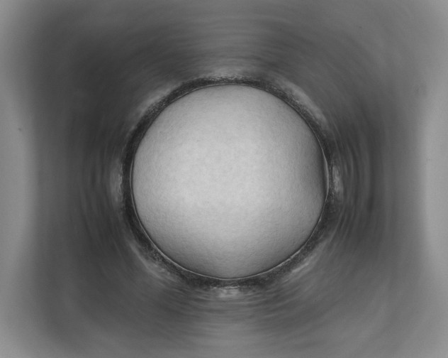 X0000111950588200908171319