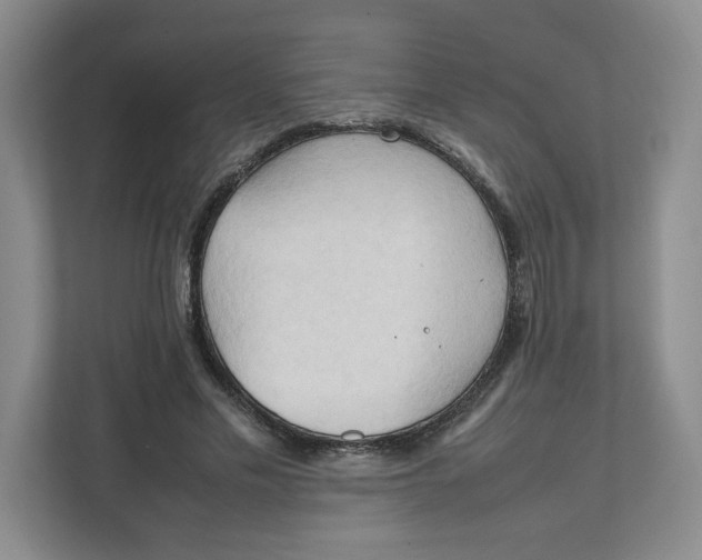 X0000111950589200908171319