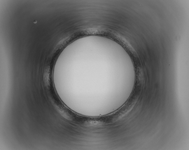 X0000111950590200908171319