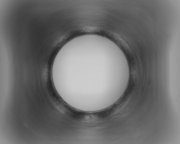 X0000111950591200908171319