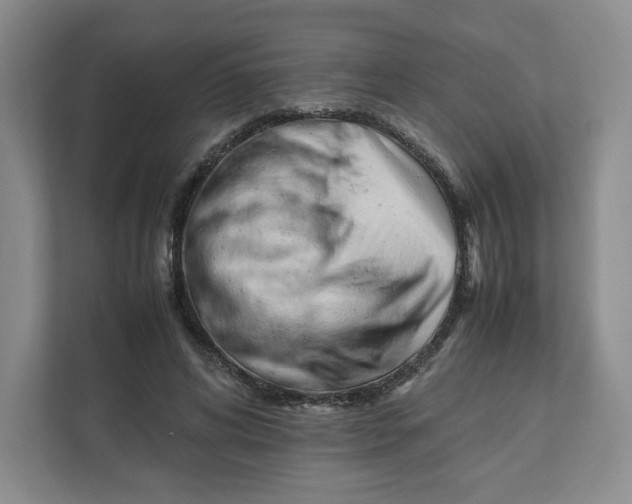 X0000111950592200908171319