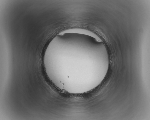 X0000111950593200908171319