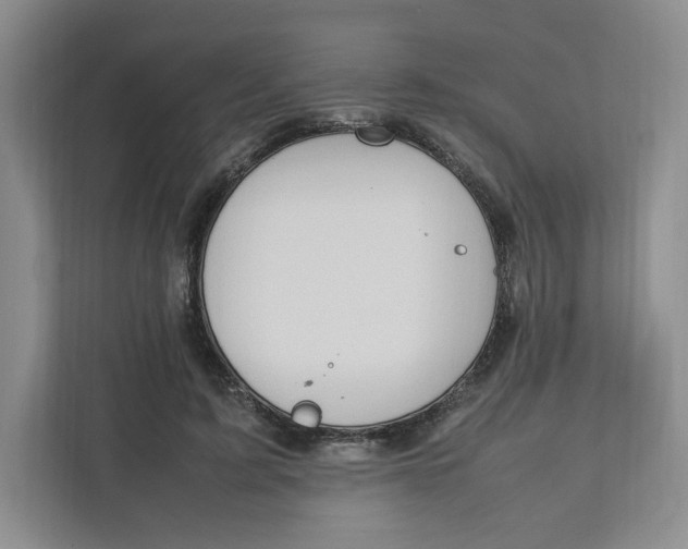 X0000111950595200908171319