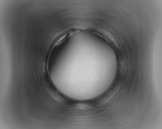 X0000111950596200908171319