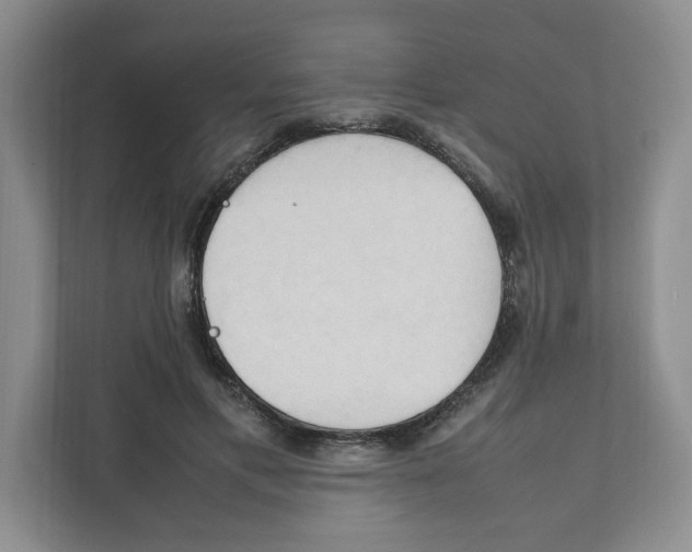 X0000111950597200908171319