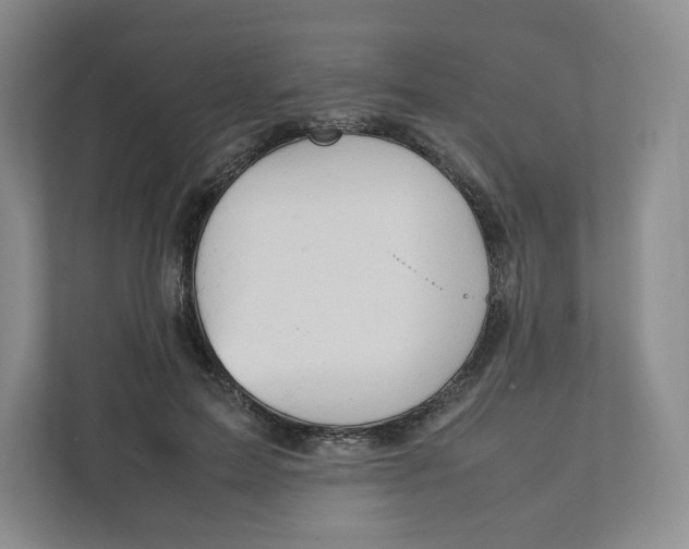 X0000111950599200908171319