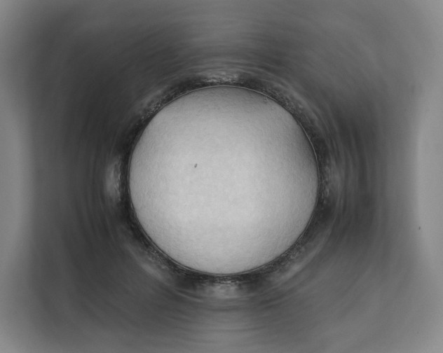 X0000111950600200908171319