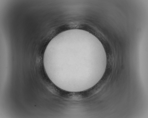 X0000111950601200908171319