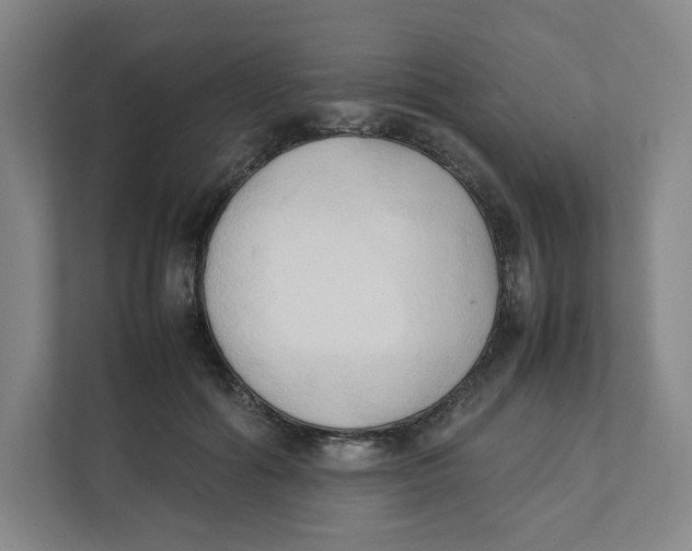 X0000111950602200908171319