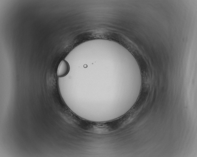 X0000111950603200908171319