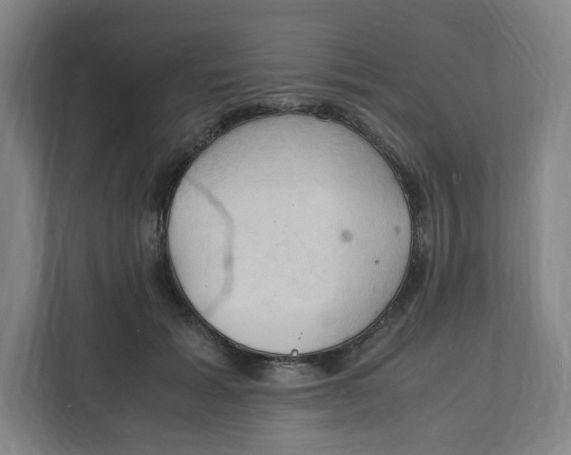 X0000111950605200908171319