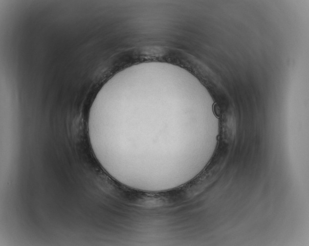 X0000111950608200908171319