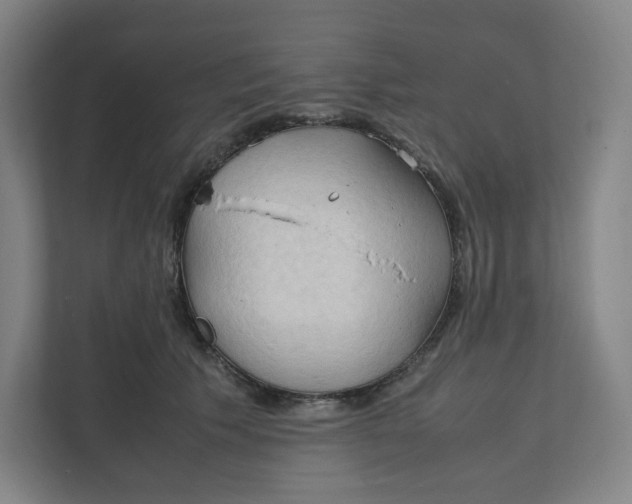 X0000111950609200908171319