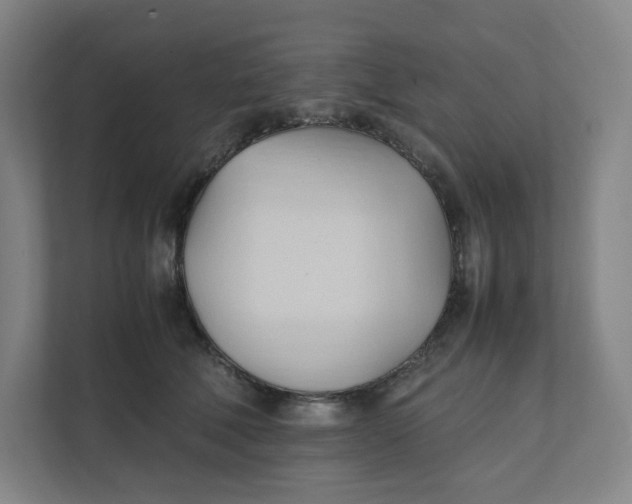 X0000111950610200908171319