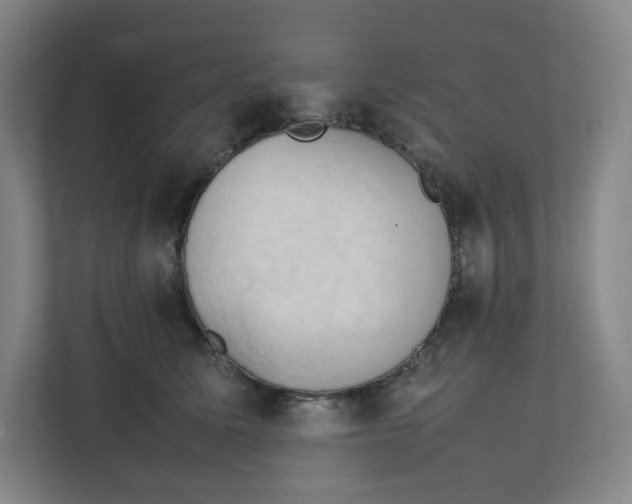 X0000111950611200908171319