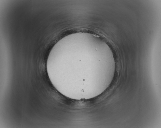 X0000111950613200908171319