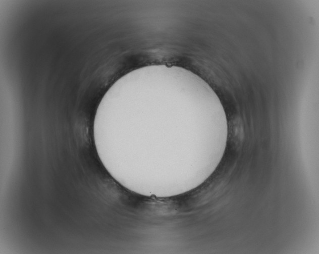 X0000111950615200908171319