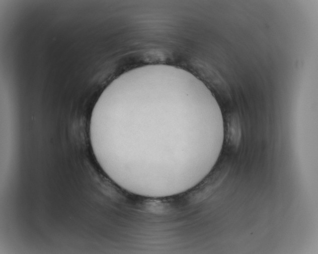 X0000111950616200908171319