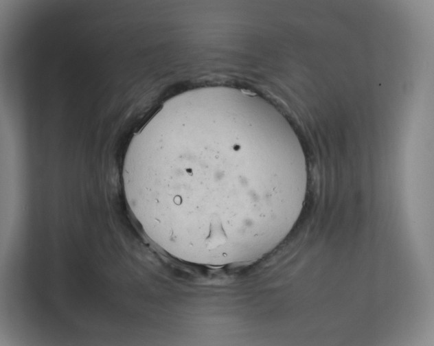 X0000111950617200908171319