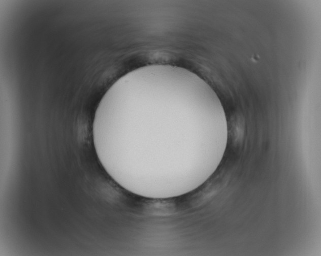 X0000111950619200908171319