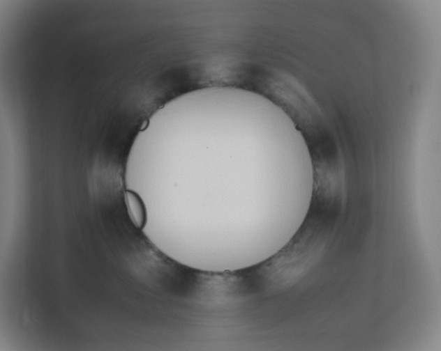 X0000111950621200908171319