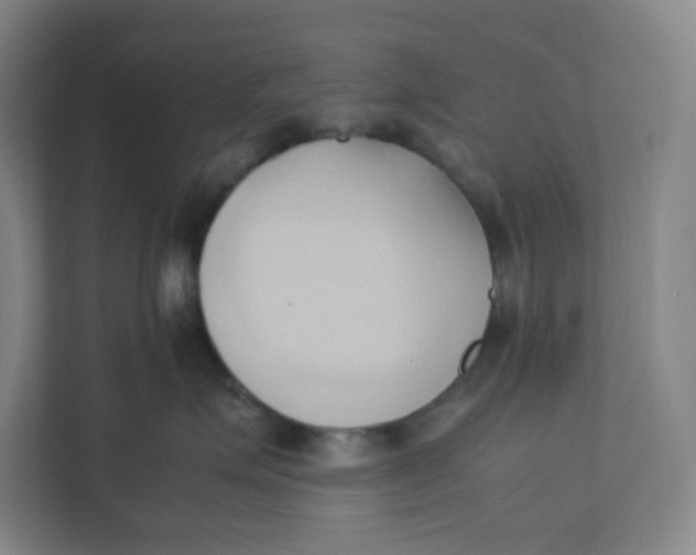 X0000111950623200908171319