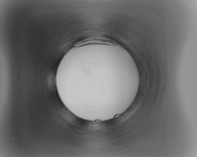 X0000111950624200908171319