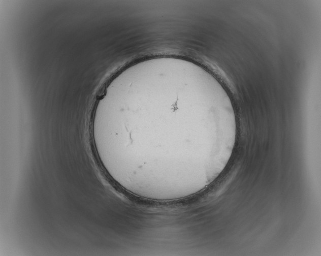 X0000111950625200908171318