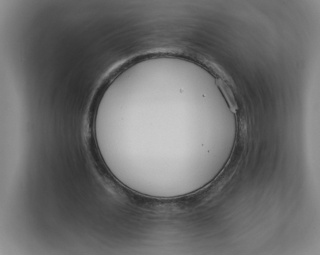 X0000111950628200908171318