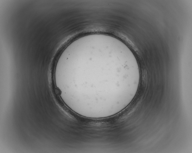 X0000111950629200908171318