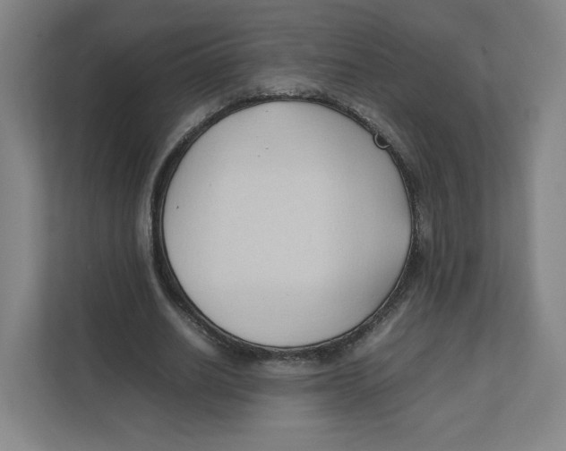 X0000111950630200908171318