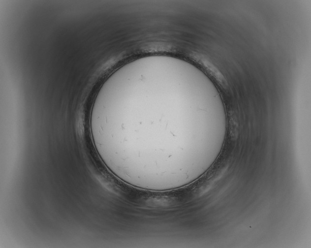 X0000111950631200908171318