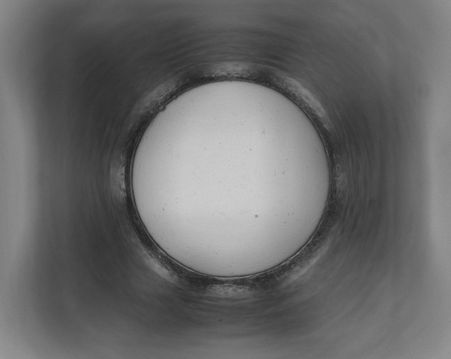 X0000111950633200908171318