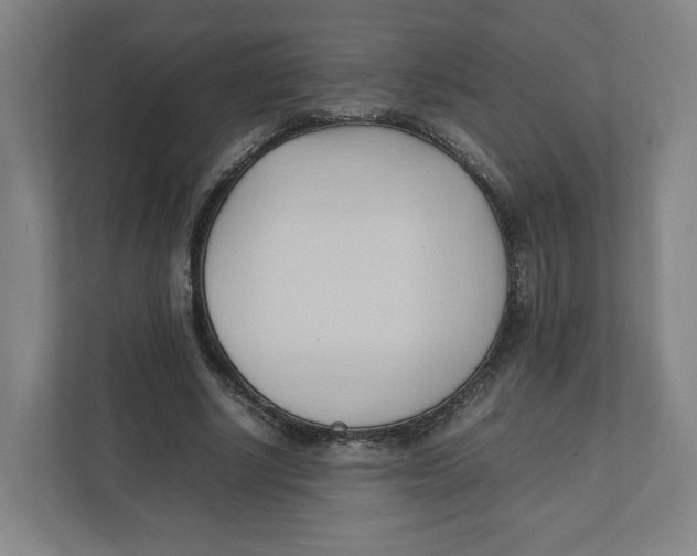 X0000111950634200908171318