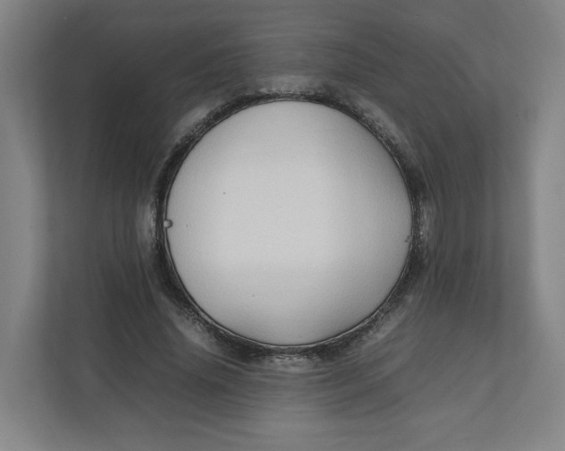 X0000111950636200908171318