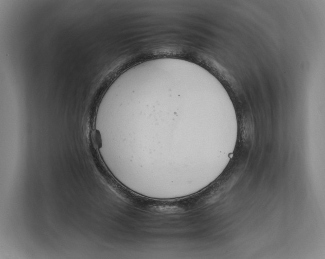 X0000111950637200908171318