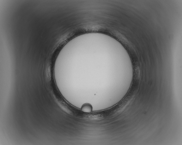 X0000111950638200908171318