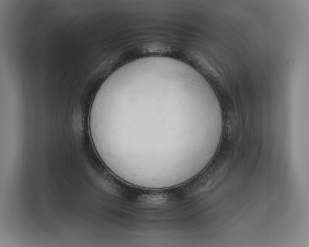 X0000111950639200908171318