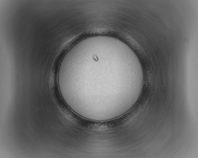 X0000111950640200908171318