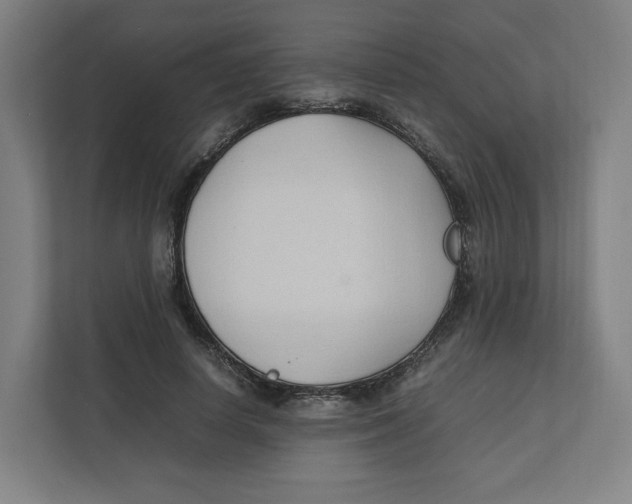 X0000111950642200908171318