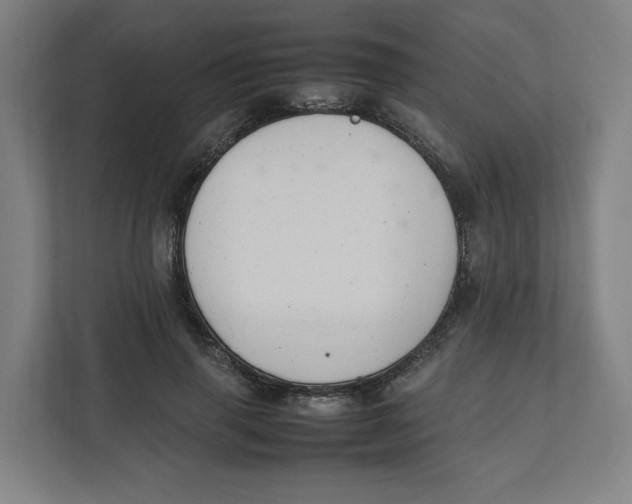 X0000111950645200908171319