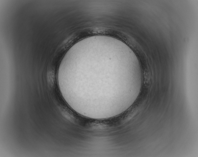 X0000111950648200908171319